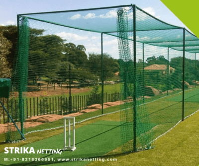 cricket net1