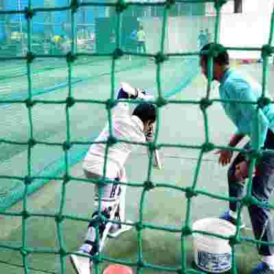 cricket net