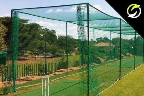 cricket net